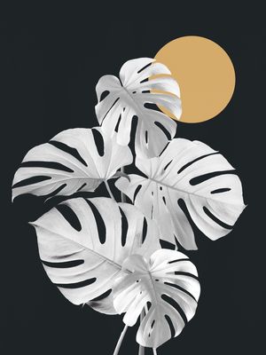 MINIMAL FLORAL 39