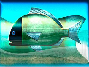 ARTE PEIXE COLOR VERDE METALICO-BREMA CABEÇA DOURADA