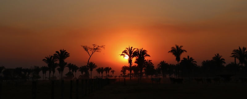 PÔR DO SOL NO HORIZONTE.