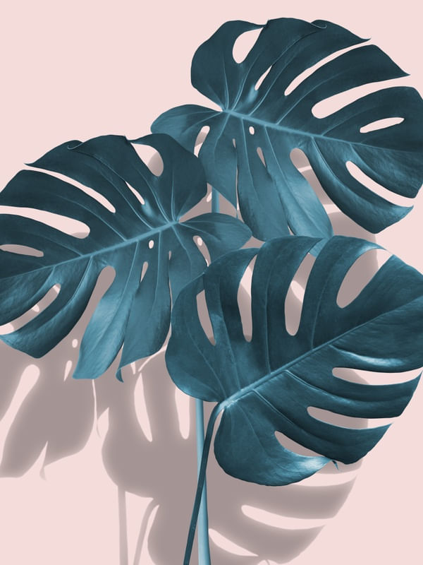 MINIMAL FLORAL 40