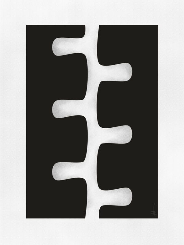 FISSURES