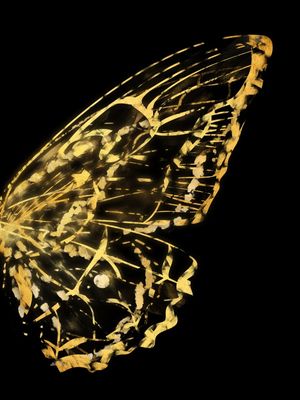 URBAX BORBOLETA B