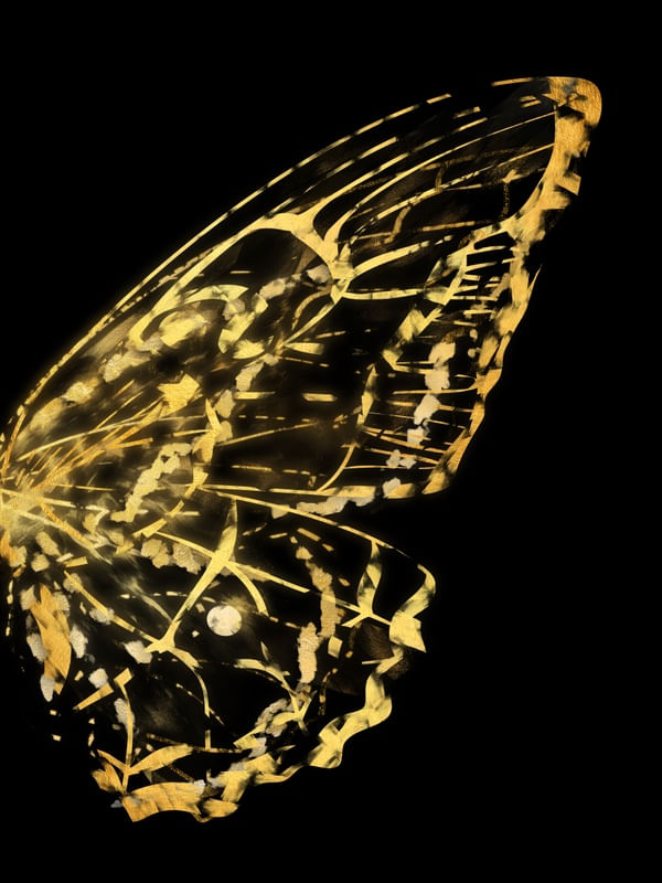 URBAX BORBOLETA B