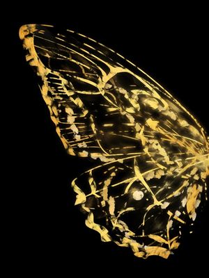 URBAX BORBOLETA A