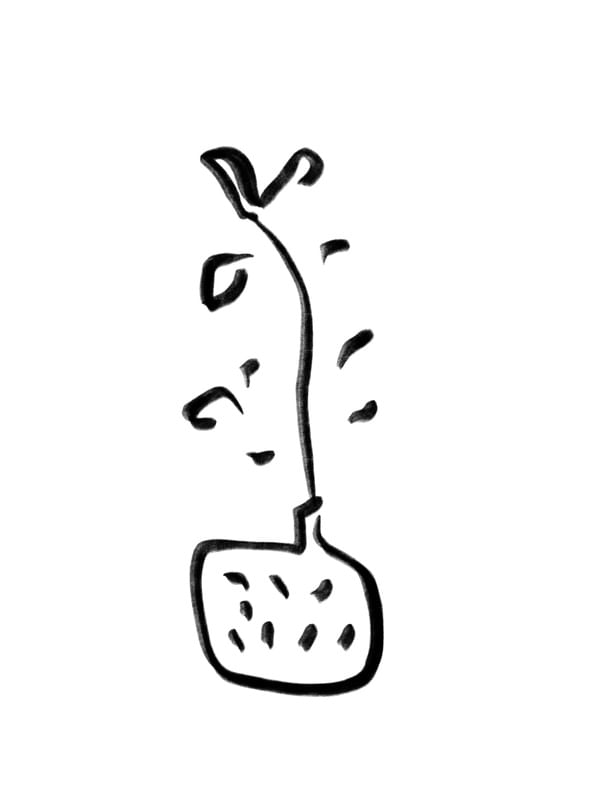 BOTANICAL ART 1