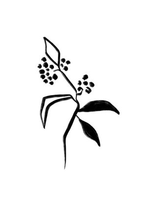 BOTANICAL 2