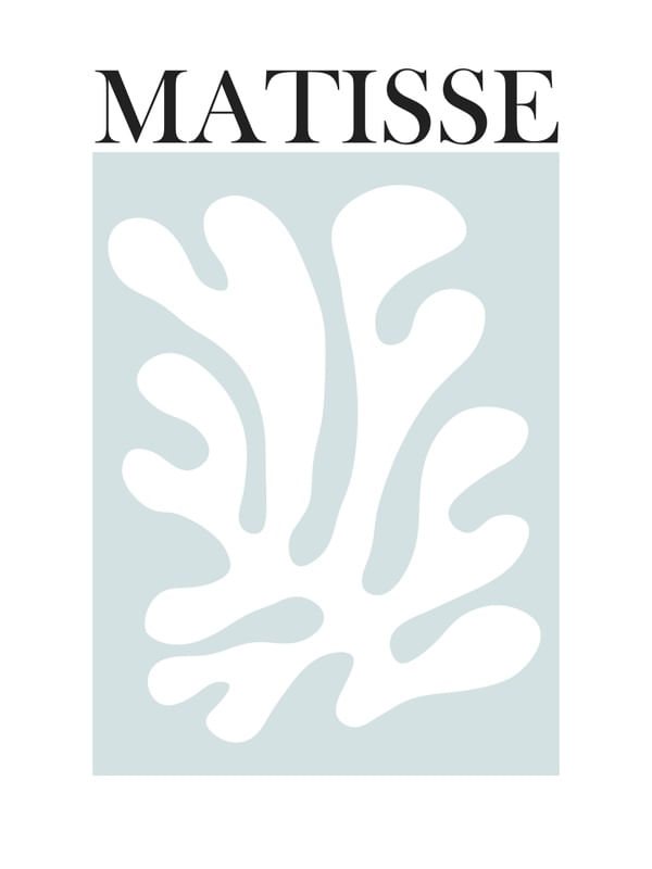 MATISSE 01
