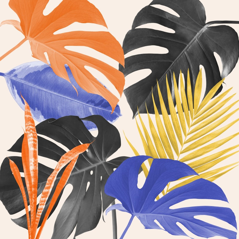 MINIMAL FLORAL 43