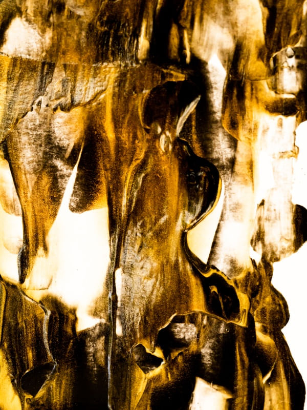 ABSTRACT INK