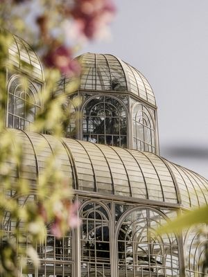 JARDIM BOTÂNICO CURITIBA GEOMETRIA 2