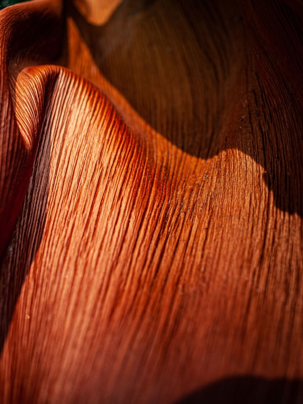 TEXTURA SOB O SOL III