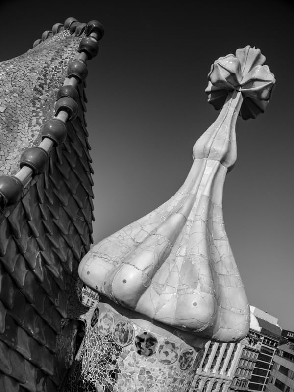 CASA BATLLÓ CRUZ PB 2