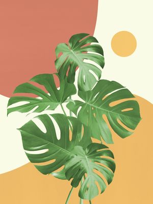 MINIMAL FLORAL 25