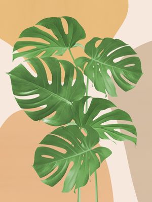 MINIMAL FLORAL 26
