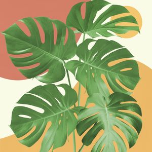 MINIMAL FLORAL 27
