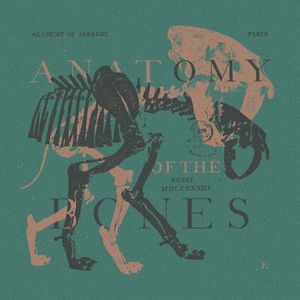 ANATOMY OF THE BONES V03