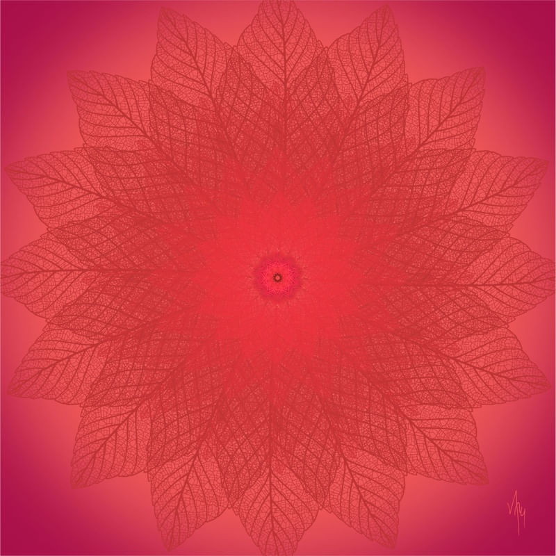 MNDLA 774