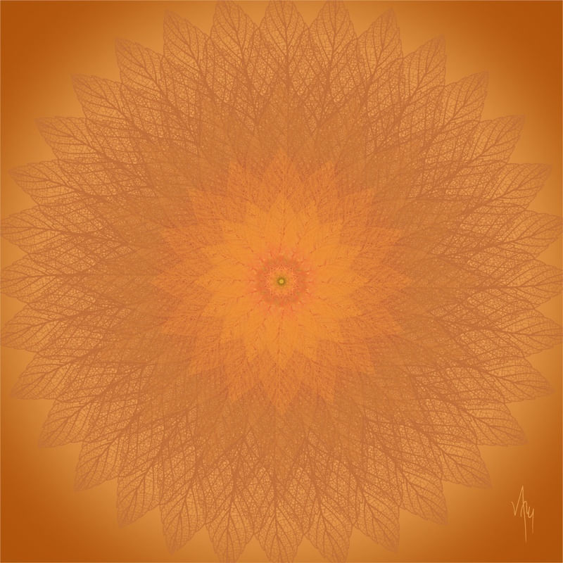 MNDLA 773