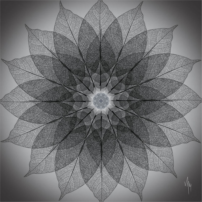 MNDLA 748