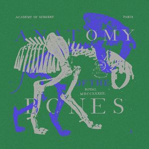 ANATOMY OF THE BONES V07