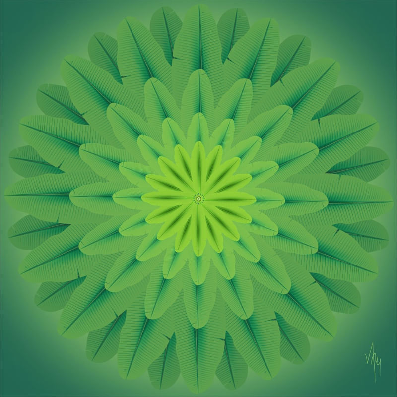 MNDLA 788