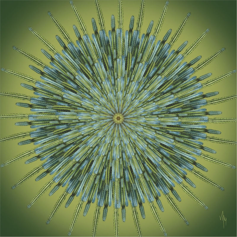 MNDLA 834