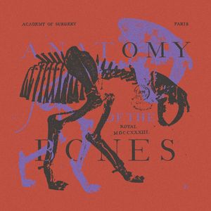 ANATOMY OF THE BONES V10