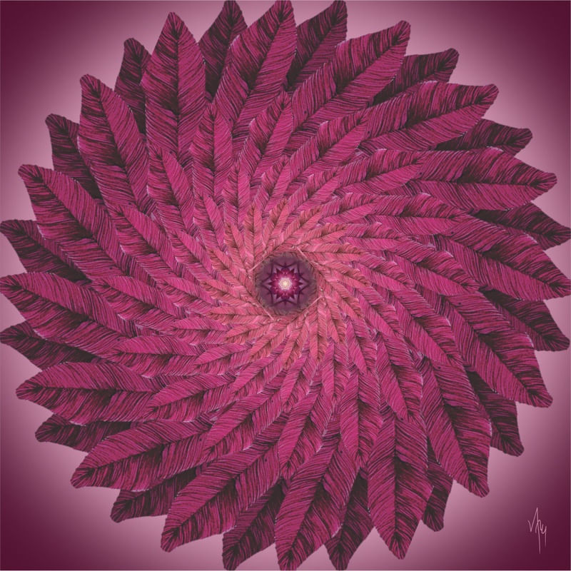 MNDLA 1020