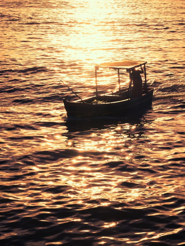 GOLDEN RIPPLES