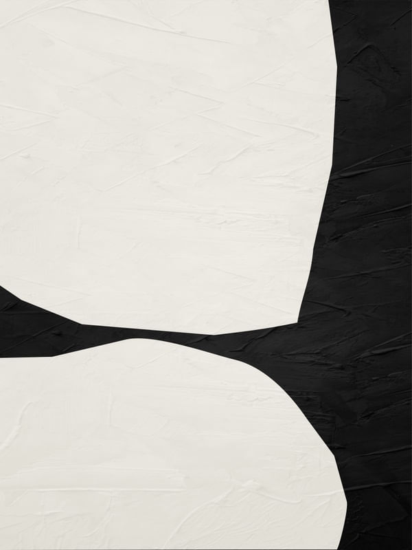ARTE CONTEMPORÂNEA COLORIDA LARANJA PRETO - ABSTRATO ORGÂNICO - 224A