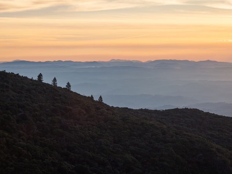 LINDA FLORESTA NA MONTANHA