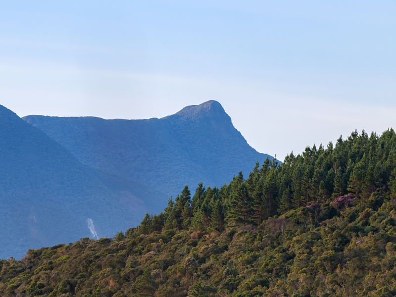 MONTANHA CAPIVARI GRANDE - PARANÁ