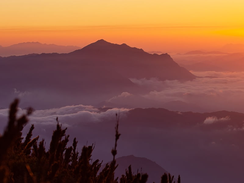 PICO AGUDO GRANDE - SERRA NEGRA LL