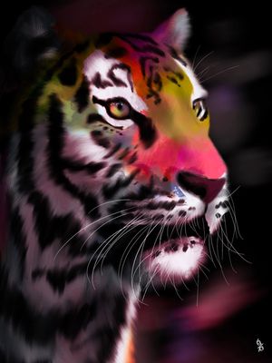 TIGRE SOB A LUZ DA AURORA