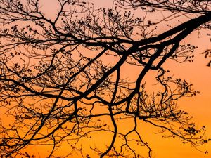 SOMBRA NO POR DO SOL