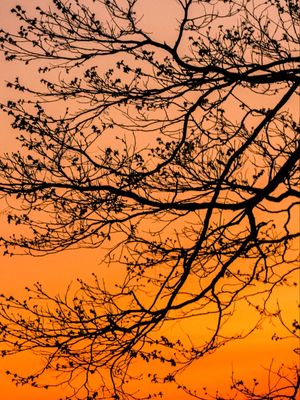 POR DO SOL NATURAL 2