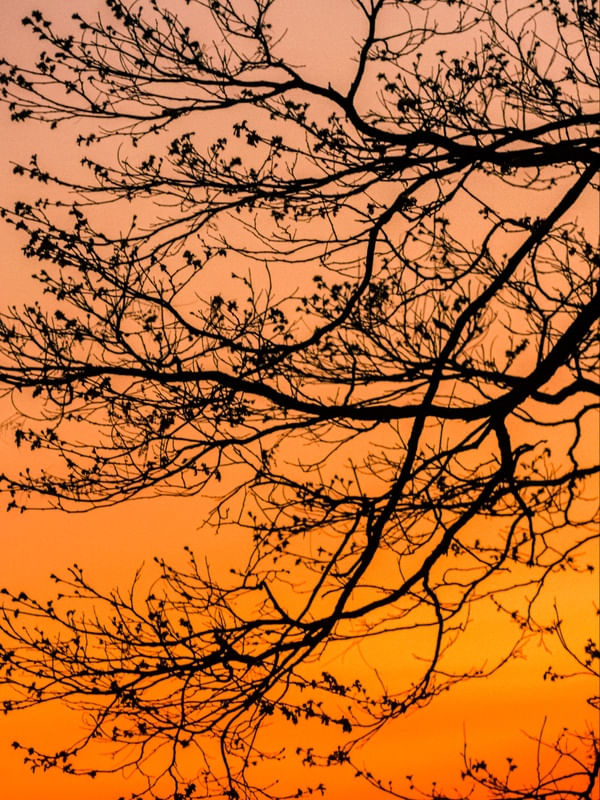 POR DO SOL NATURAL 2