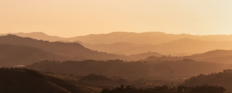 LAYERS OF GOLD