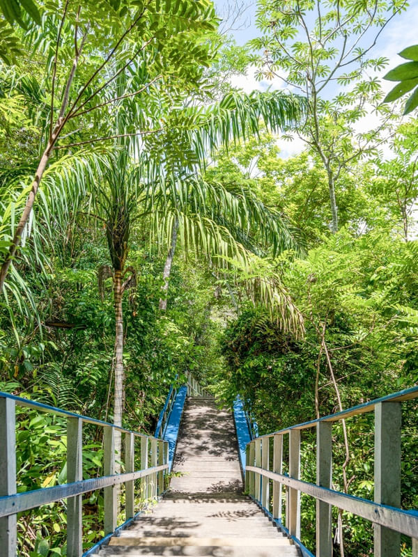 ESCADARIA DO JALAPÃO