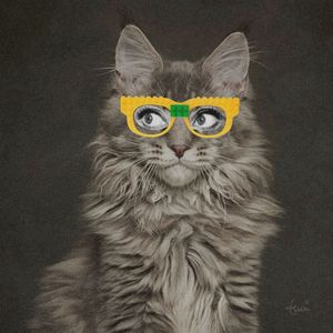 CAT WEARING GLASSES 03