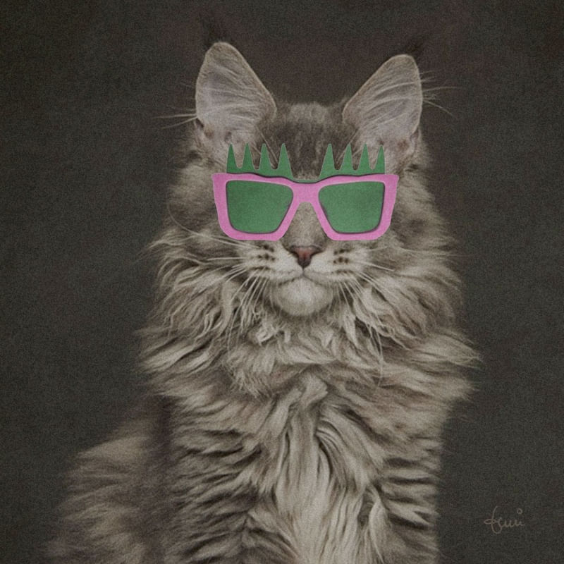 CAT WEARING GLASSES 04