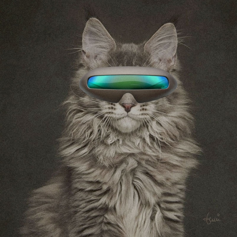 CAT WEARING GLASSES 05