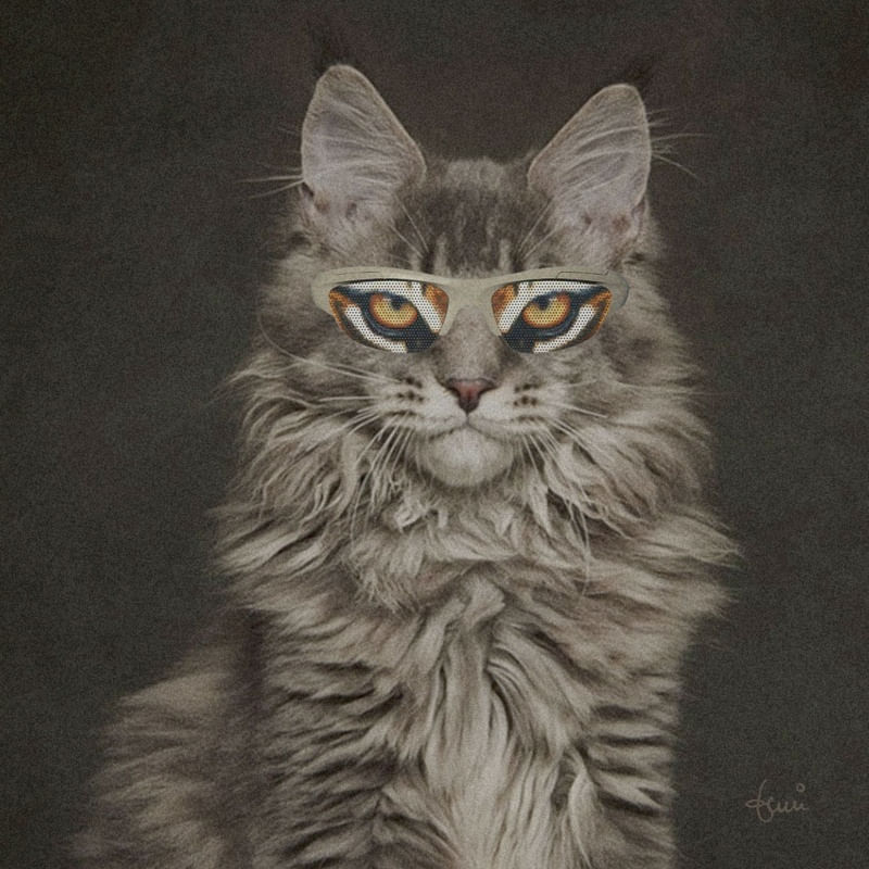 CAT WEARING GLASSES 06