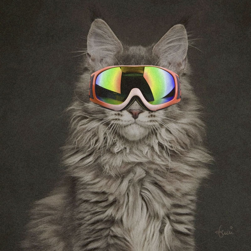 CAT WEARING GLASSES 08
