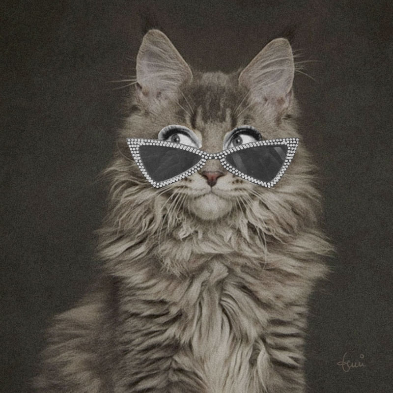 CAT WEARING GLASSES 01