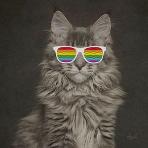CAT WEARING GLASSES 02