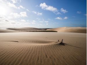 ILHA NO DELTA DO PARNAIBA