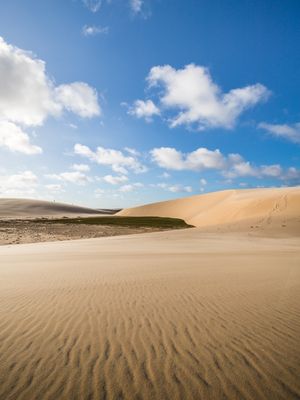 ILHA DELTA DO PARNAIBA
