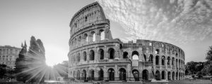 ROMA 26