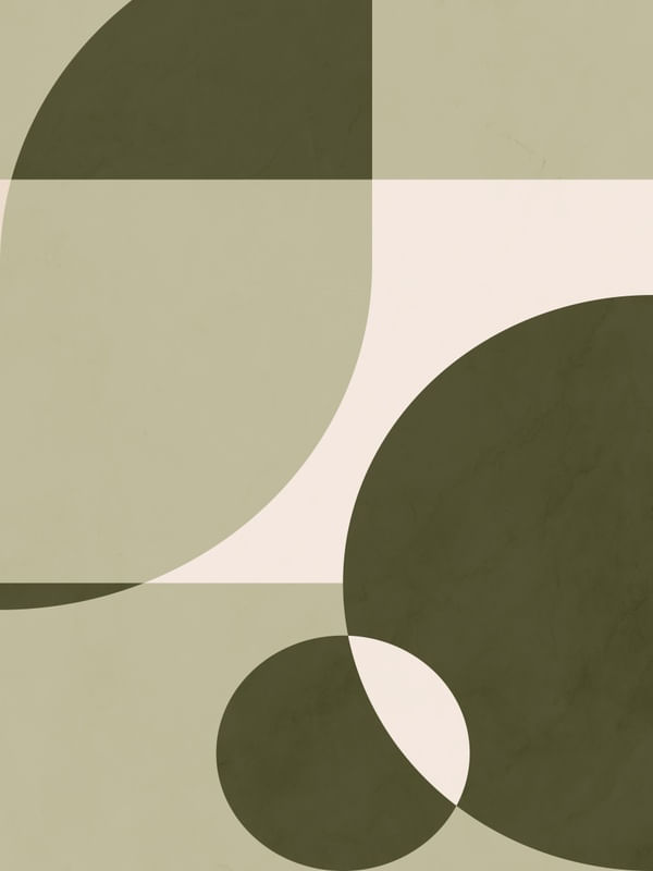 GEOMETRIA NATURAL 1
